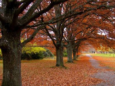 nature-q-c-1000-1000-4.jpg